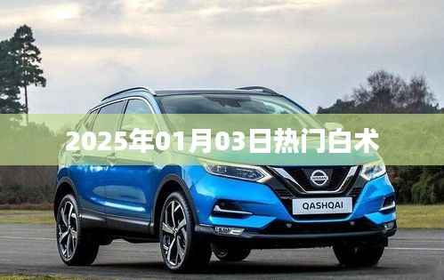 删华就素 第3页