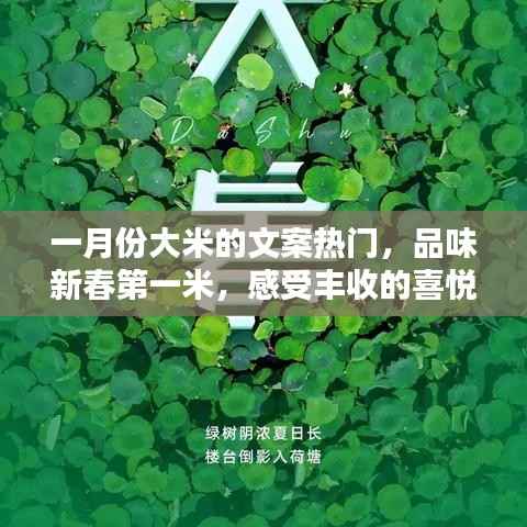 新春第一米,品味丰收喜悦,一月份大米文案精选