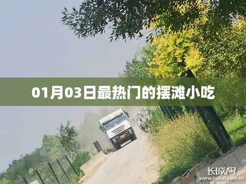 摆滩小吃,最新热门美食潮流(日期,XXXX年XX月XX日)