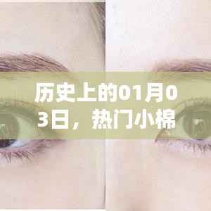 热门小棉花的历史时刻,一月三日回顾