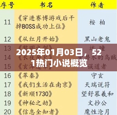 热门小说一览,2025年元旦,521小说概览