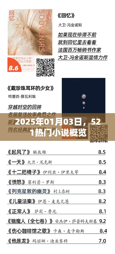 热门小说一览,2025年元旦,521小说概览