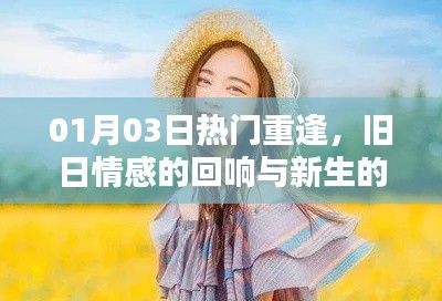 旧日情感回响与新生的碰撞,重逢时刻