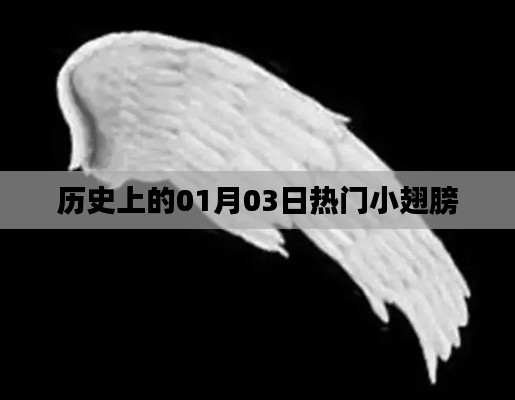历史上的热门小翅膀事件,一月三日回顾
