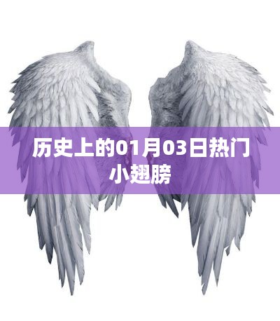 历史上的热门小翅膀事件,一月三日回顾
