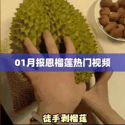 月报恩榴莲视频,榴莲爱好者的盛宴