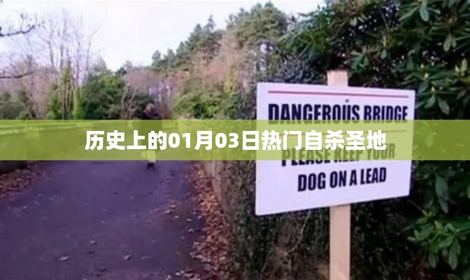 历史上的自杀圣地揭秘,一月三日热门事件回顾
