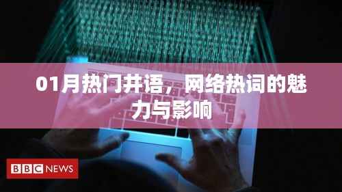 热门井语魅力与影响揭秘,网络热词的力量