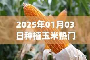 玉米种植趋势,揭秘热门种植时间,掌握未来市场先机