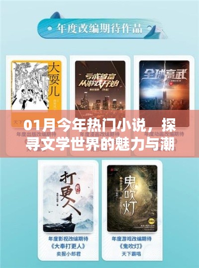 本月热门小说探秘,文学世界的潮流魅力