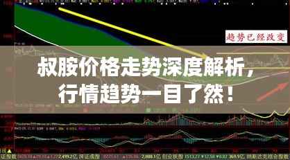 叔胺价格走势深度解析,行情趋势一目了然!