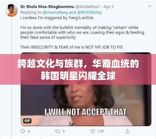 跨越文化与族群,华裔血统的韩国明星闪耀全球