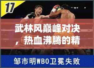 武林风巅峰对决,热血沸腾的精彩瞬间!