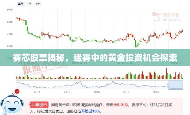 雾芯股票揭秘,迷雾中的黄金投资机会探索
