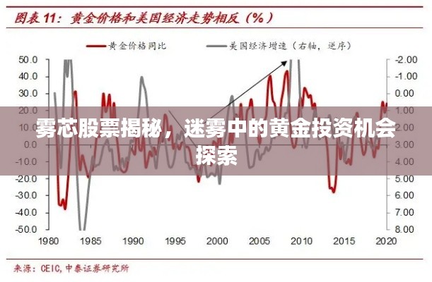 雾芯股票揭秘,迷雾中的黄金投资机会探索