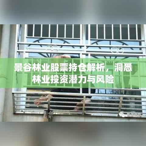 景谷林业股票持仓解析,洞悉林业投资潜力与风险