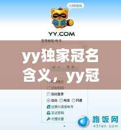 yy独家冠名含义,yy冠名是什么意思
