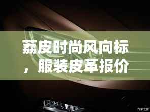 荔皮时尚风向标,服装皮革报价行情深度解析