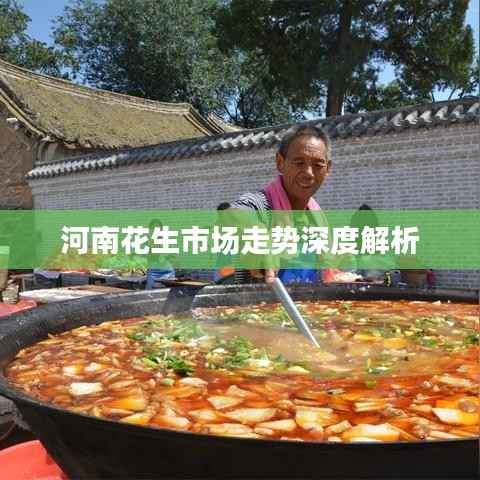 河南花生市场走势深度解析