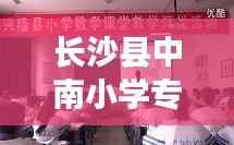 长沙县中南小学专题课堂,长沙县星沙中南小学校训