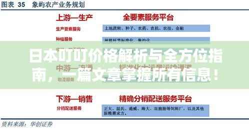 日本叮叮价格解析与全方位指南,一篇文章掌握所有信息!