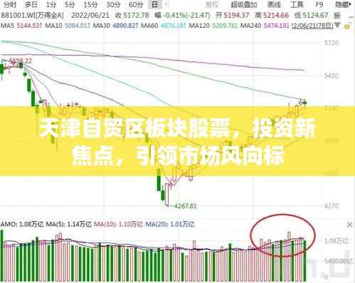 天津自贸区板块股票，投资新焦点，引领市场风向标