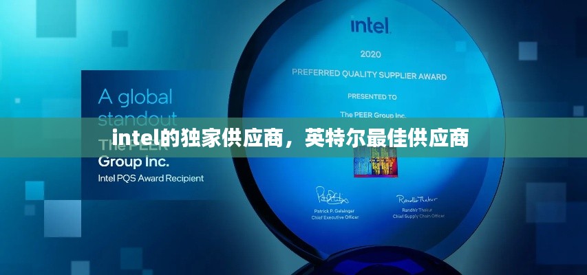 intel的独家供应商,英特尔最佳供应商