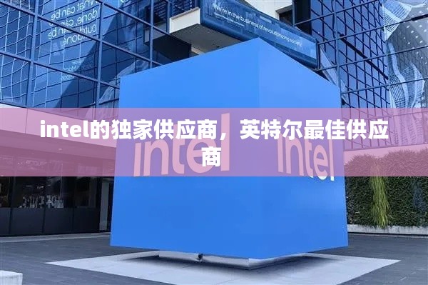intel的独家供应商,英特尔最佳供应商