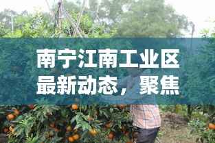 南宁江南工业区最新动态,聚焦发展,揭秘产业新动向