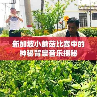 还淳反朴 第3页