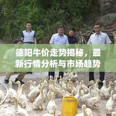 德阳牛价走势揭秘,最新行情分析与市场趋势预测