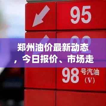 郑州油价最新动态,今日报价、市场走势及影响因素深度解析