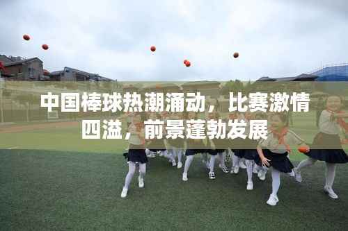 中国棒球热潮涌动,比赛激情四溢,前景蓬勃发展