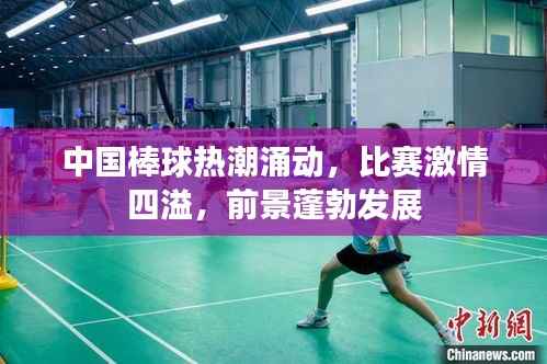 中国棒球热潮涌动,比赛激情四溢,前景蓬勃发展