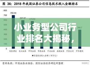 小业务型公司行业排名大揭秘,探寻隐藏的行业内动力