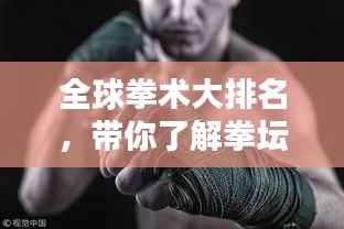 全球拳术大排名,带你了解拳坛高手实力榜单!