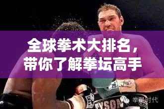 全球拳术大排名,带你了解拳坛高手实力榜单!