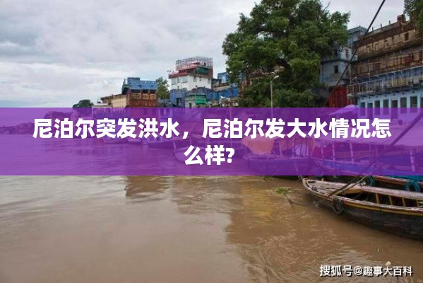 尼泊尔突发洪水,尼泊尔发大水情况怎么样?