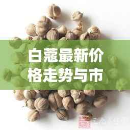白蔻最新价格走势与市场动态深度解析