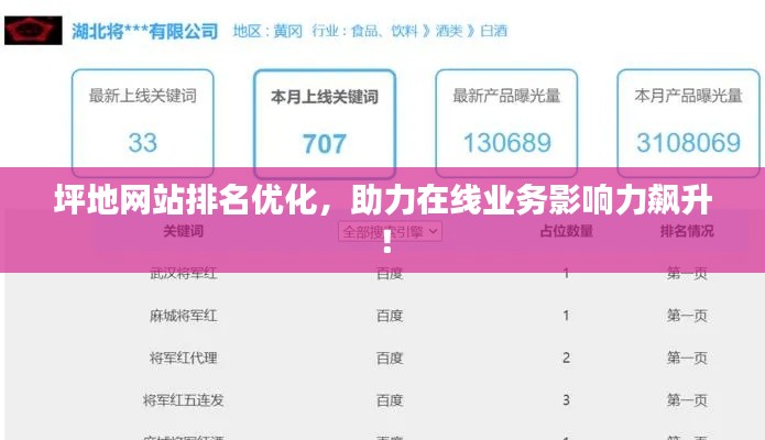 坪地网站排名优化,助力在线业务影响力飙升!