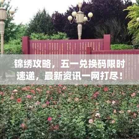 锦绣攻略,五一兑换码限时速递,最新资讯一网打尽!