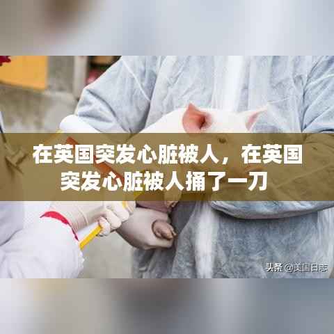 在英国突发心脏被人,在英国突发心脏被人捅了一刀