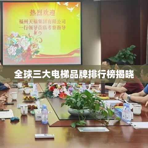 全球三大电梯品牌排行榜揭晓