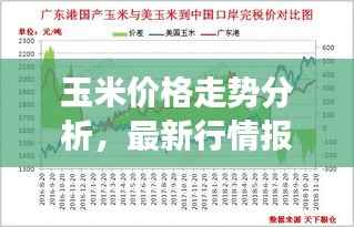 玉米价格走势分析,最新行情报告与市场趋势预测