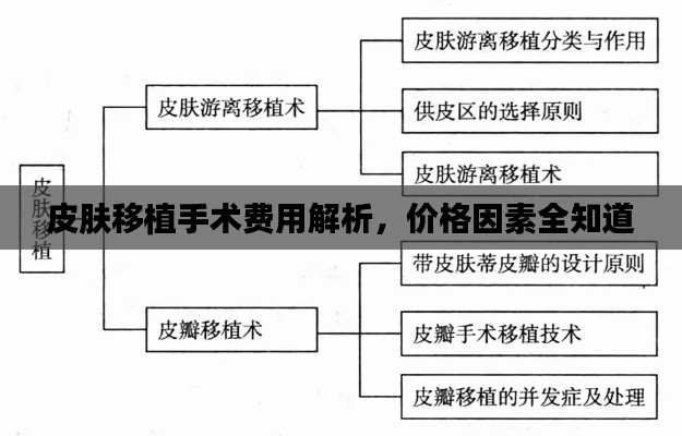 皮肤移植手术费用解析,价格因素全知道