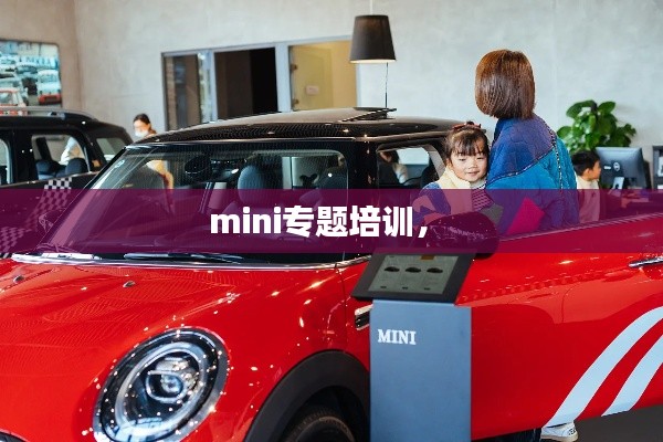 mini专题培训,
