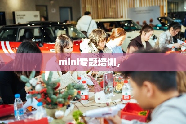mini专题培训,