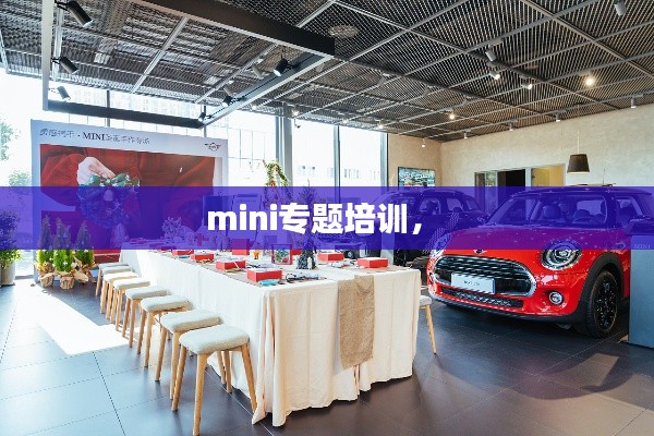 mini专题培训,