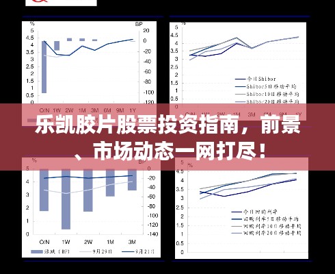 乐凯胶片股票投资指南,前景、市场动态一网打尽!