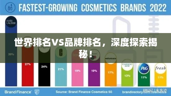 世界排名VS品牌排名,深度探索揭秘!